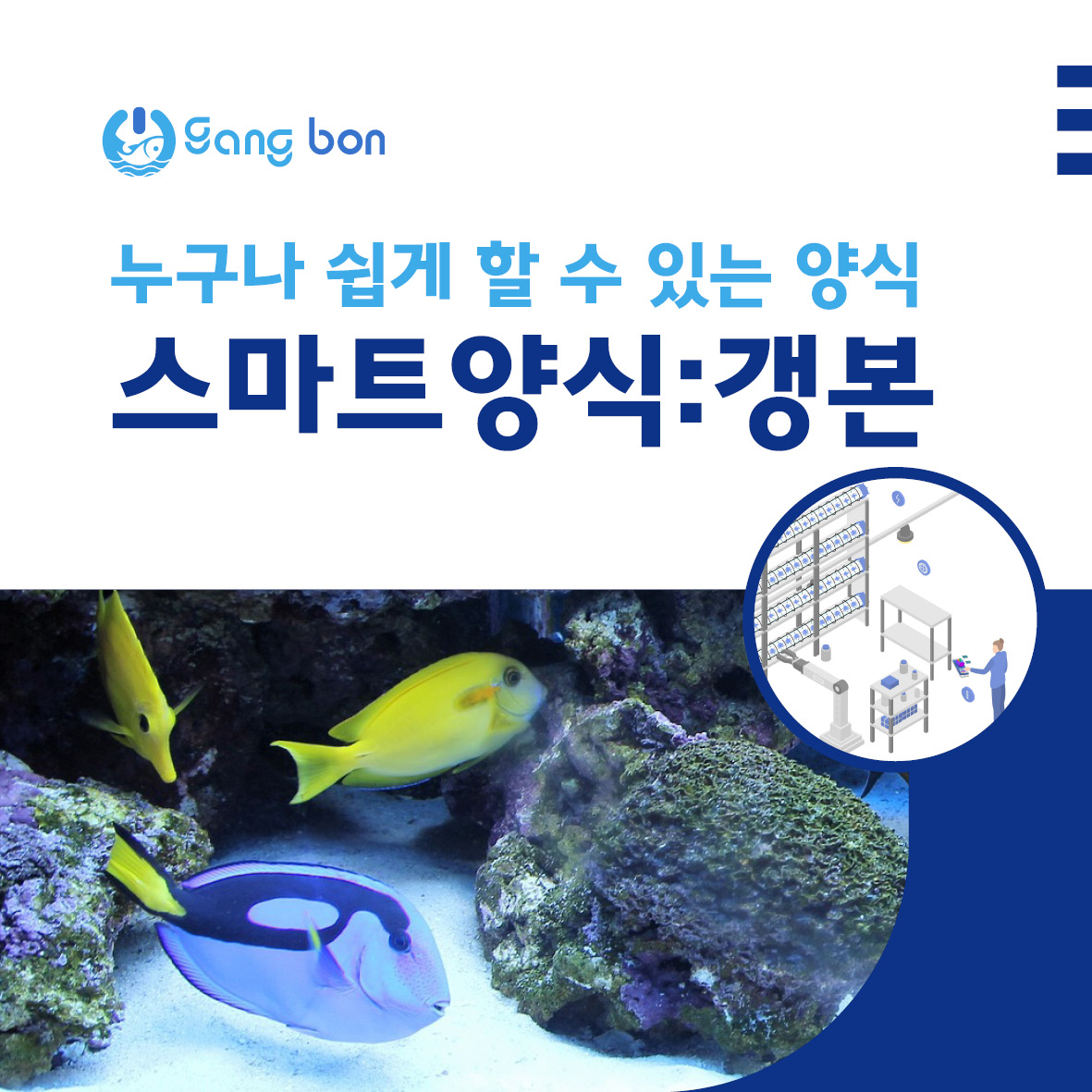 [갱본] 벽걸이형, 스탠드형의 수조와 IOT기반 스마트양식 시스템  이미지
